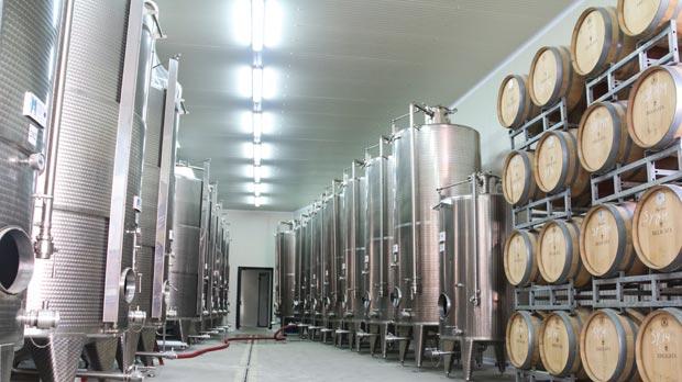 ERP системите като ценен помощник в производството и търговията на вино и високоалкохолни напитки
